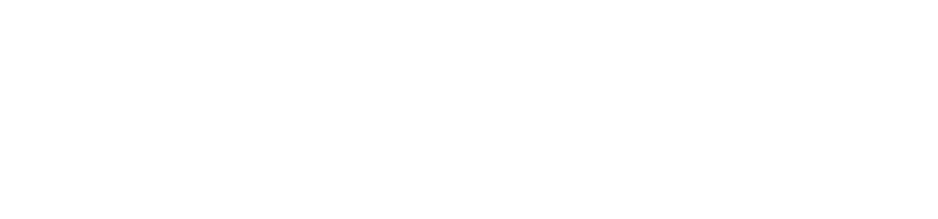 nordiseo logo white